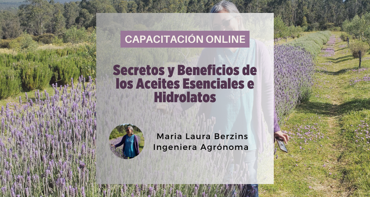 Secretos Y Beneficios De Los Aceites Esenciales E Hidrolatos