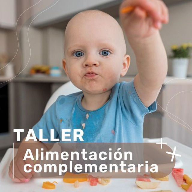 Taller De Alimentaci N Complementaria Y Blw Pediatramel