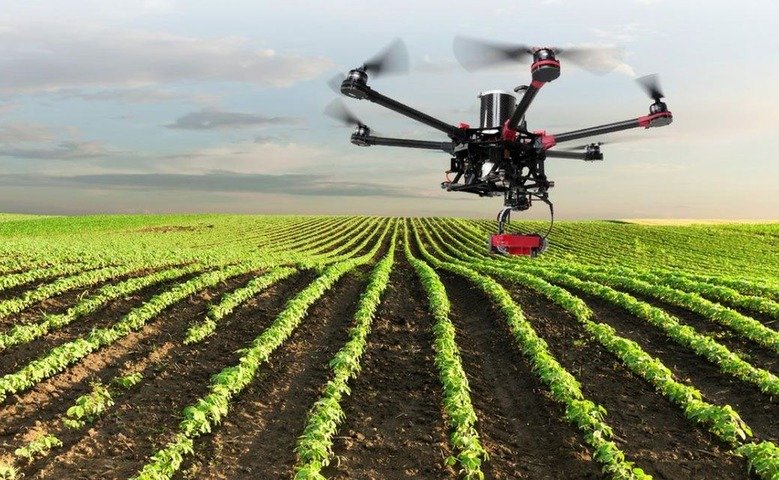 Mapeo de Cultivos con Drones