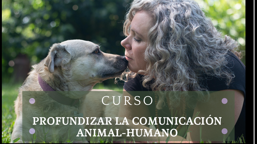 Profundizar la comunicación animal-humano
