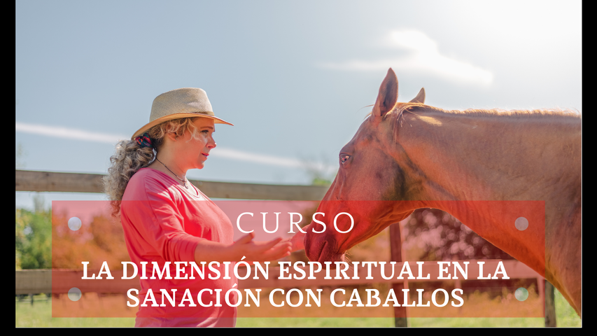 La dimensión espiritual en la sanación con caballos