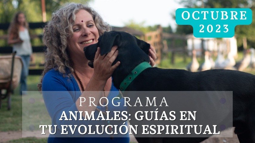 Animales: Guías para tu evolución espiritual 