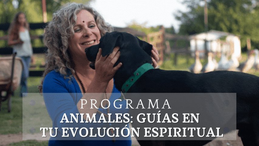 Animales: Guías para tu evolución espiritual - Julio 2023