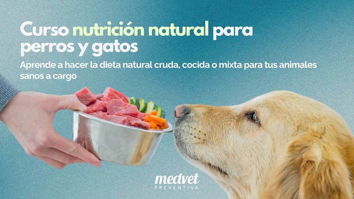 Alimentación Natural En Perros Y Gatos Medvetpreventiva 3222