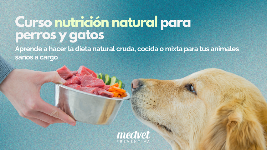 Alimentación natural en perros y gatos 