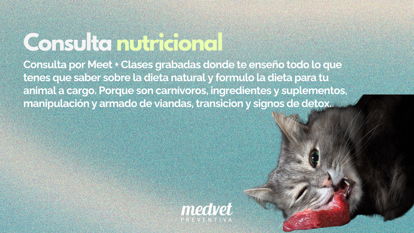 Consulta nutricional para perros y gatos (sanos o con patología)