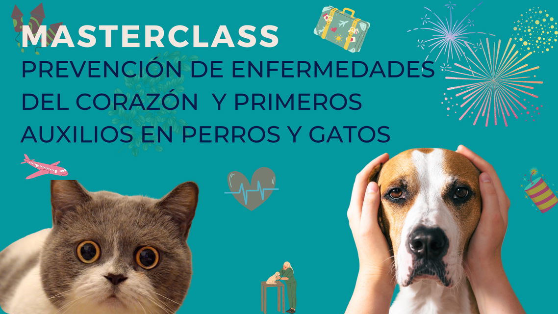 Masterclass De Prevención Y Primeros Auxilios En Perros Y Gatos 7560