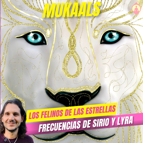 ¡Bienvenido a Mukaáls Tu Felino Estelar! workshop