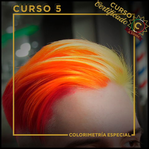 CURSO 5 | Colorimetría Especial