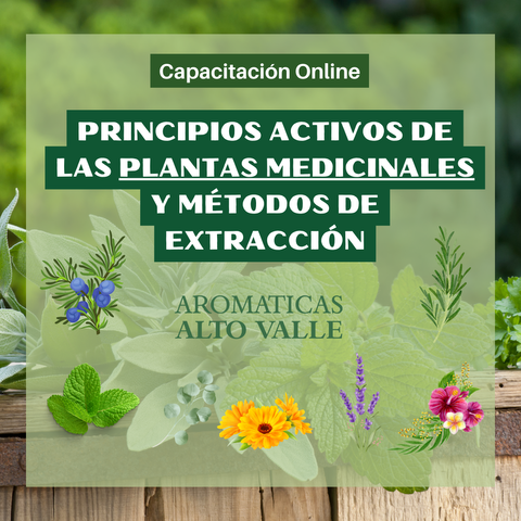 Principios Activos de las Plantas Medicinales y Métodos de Extracción