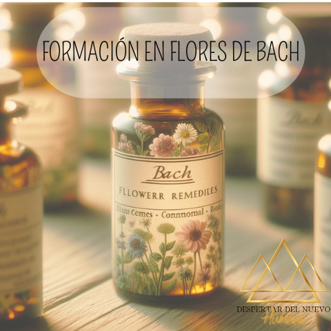 FORMACIÓN EN FLORES DE BACH