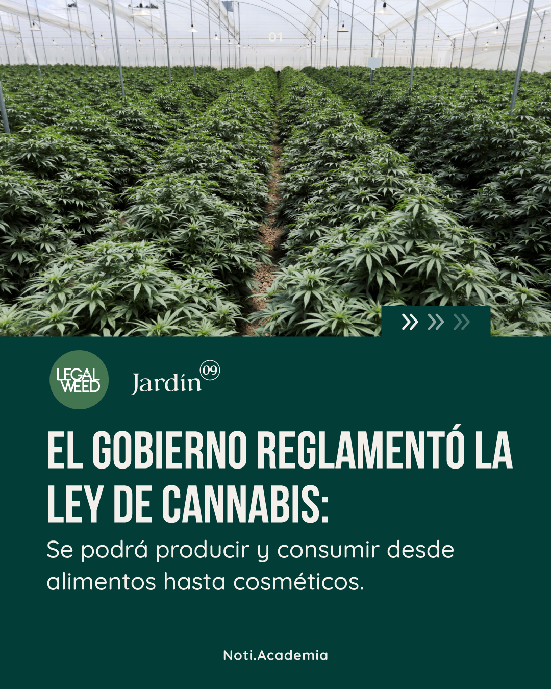 Reglamentacion De La Ley De Cannabis Industrial Y Medicinal