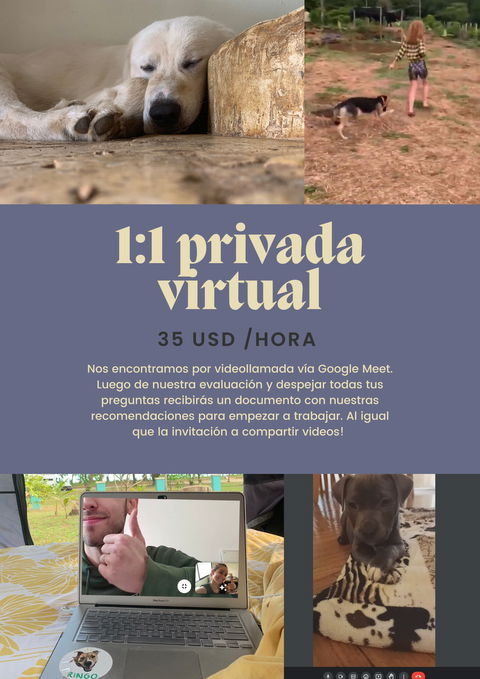Entrenamiento Virtual para Argentina