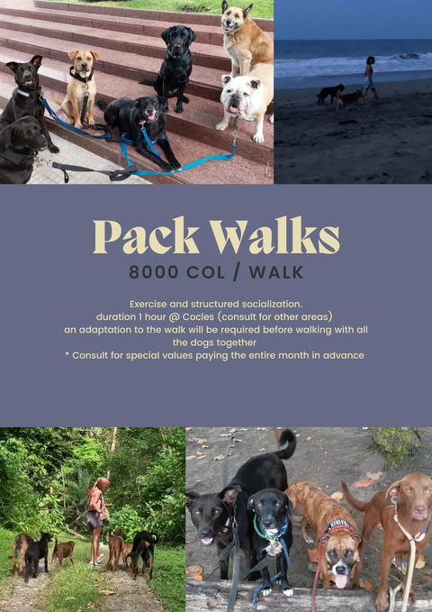 Pack Walk | Caminata en Manada