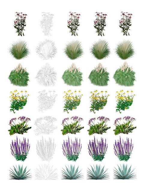 07 Plantas Ilustradas Visualiza Paisajes