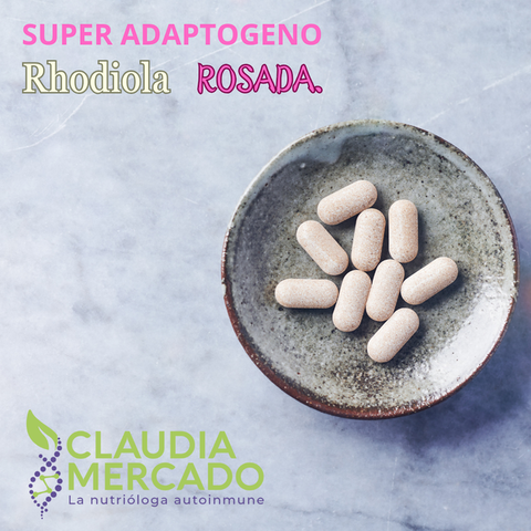Rhodiola Rosada Adaptogeno