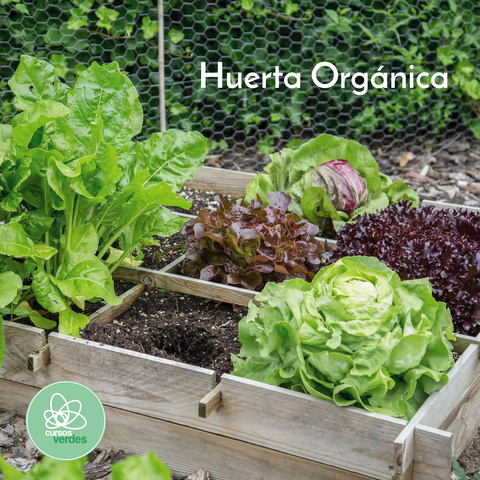 Huerta Orgánica