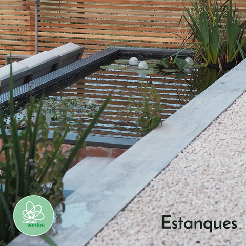 Estanques