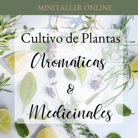 MiniTaller de Plantas Aromáticas & Medicinales