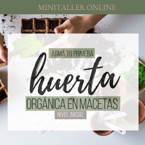 MiniTaller de Huerta Orgánica - Armá tu primera huerta organica en macetas