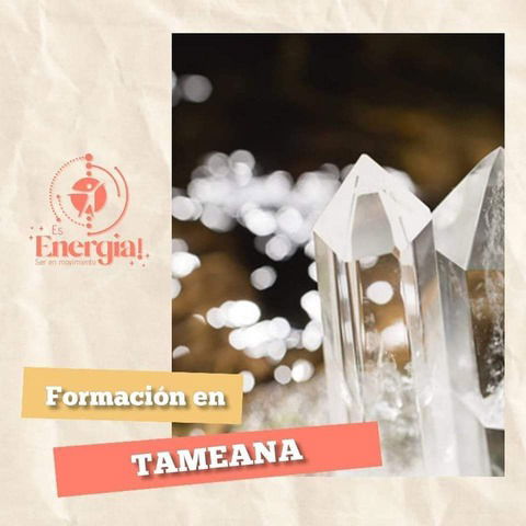 FORMACIÓN EN TAMEANA