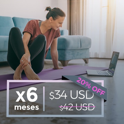 PLAN x 6 MESES - en $US