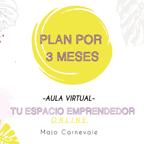 1. Plan por 3 meses ($ ARG)