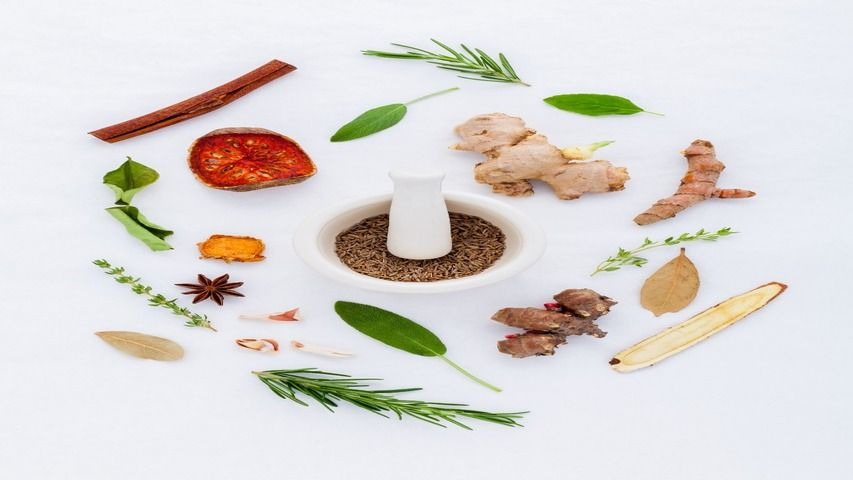Ayurveda, la medicina viva - Dra. Alma Berra
