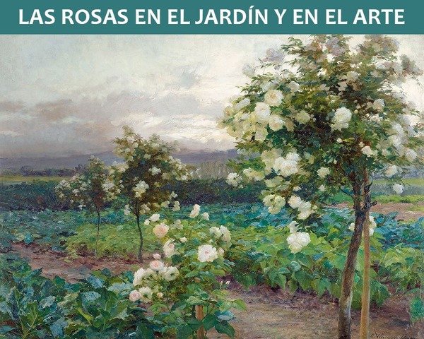 Las rosas en el jardín y en el arte
