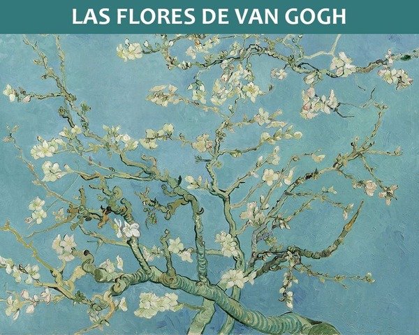 Las flores de Van Gogh
