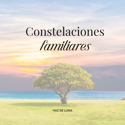 FORMACIÓN EN CONSTELACIONES FAMILIARES (INICIO 10 de JULIO)