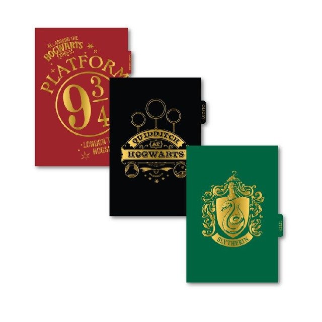 Mooving Harry Potter Agenda - Organize Your Magic Moments in Style with our  14x20 Gold Stamped Planner (Spanish), agenda harry potter 2024 