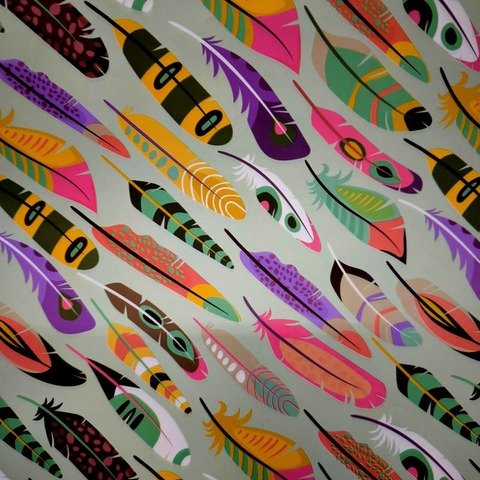 Papel de Regalo Fantasía 70x100 Plumas de Colores x2 + 2 Moños