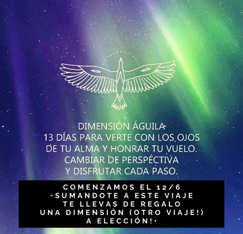 Dimensión Águila - un programa para cambiar de perspectiva e integrar tu divinidad a tu humanidad 