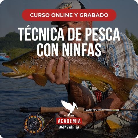 Técnicas de Pesca con Ninfas - Curso grabado