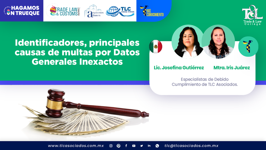 Bee Conocimiento: Identificadores, principales causas de multas por Datos Generales Inexactos por la Lic. Josefina Gutiérrez y la Mtra. Iris Juárez