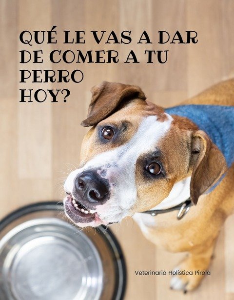 Alimentación Natural y Consciente para perros y gatos para familias de Argentina