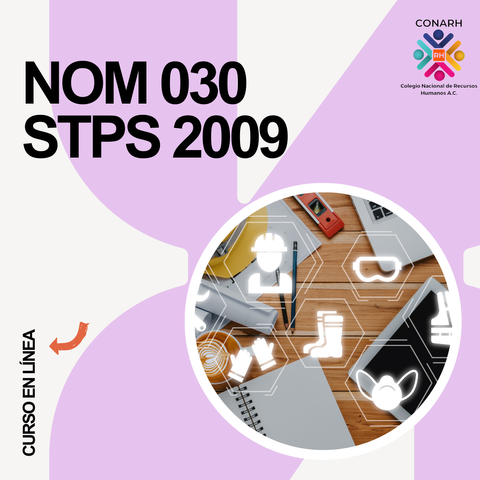 Grabación del curso de NOM 030 STPS 2009 (21 Marzo de 2024)