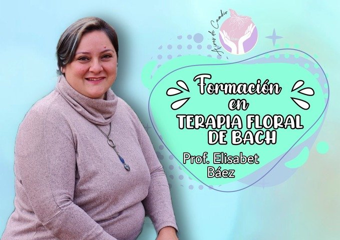 Terapia Floral Sistema Bach - 100% Grabada