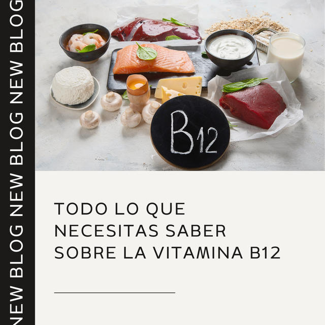 Todo Lo Que Necesitas Saber Sobre La Vitamina B12 8348