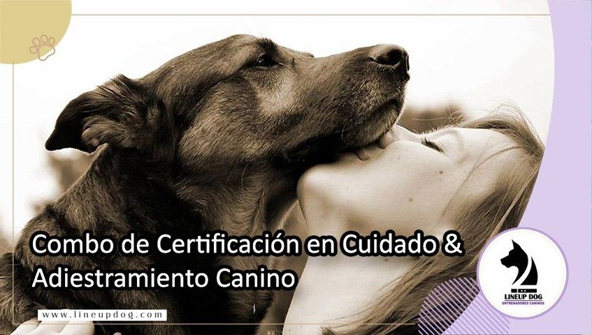 Combo de Certificación en Cuidado y Adiestramiento Canino: Conviértete en un Profesional del Mundo Canino