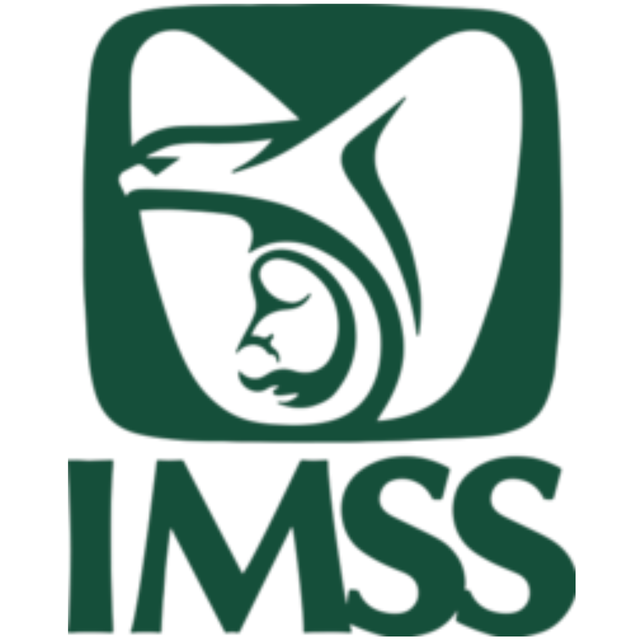 ¿Qué son los formatos ST del IMSS?