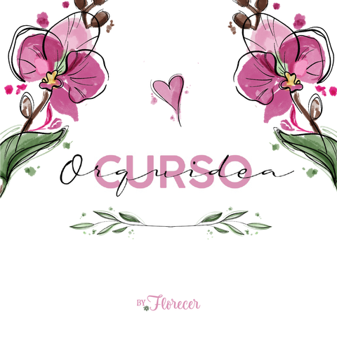 CURSO ORQUIDEA