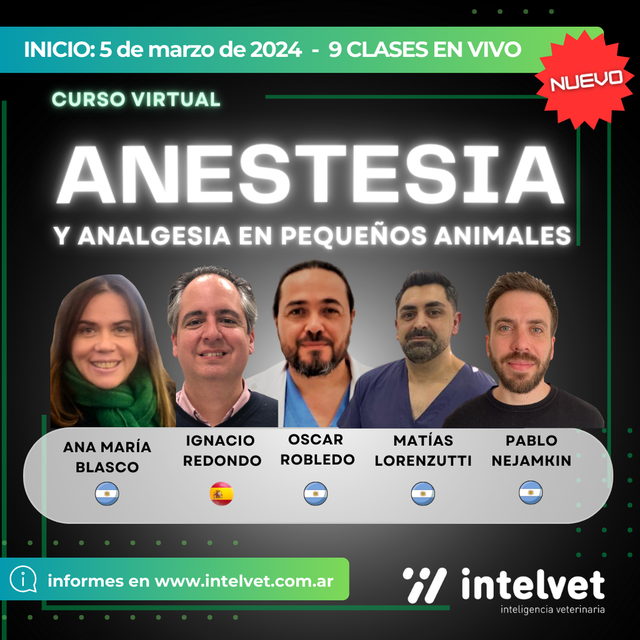 ¡Nuevo 2024!: Curso Virtual de Anestesia y Analgesia en Pequeños Animales