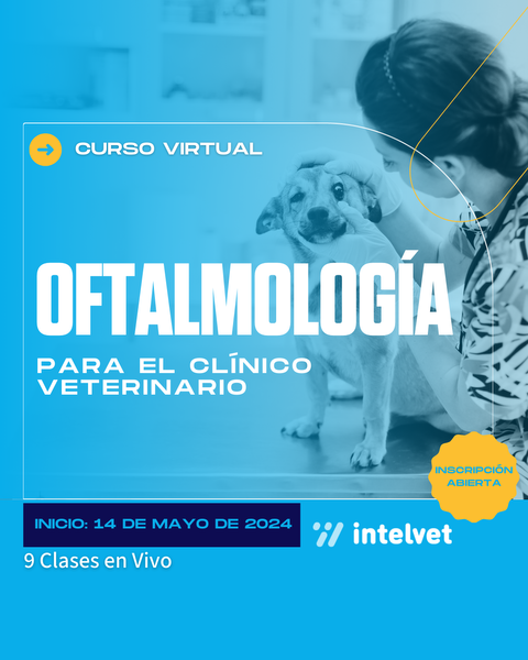 Curso de Oftalmología para el Clínico Veterinario- Coordinador: Dr. Gustavo Zapata