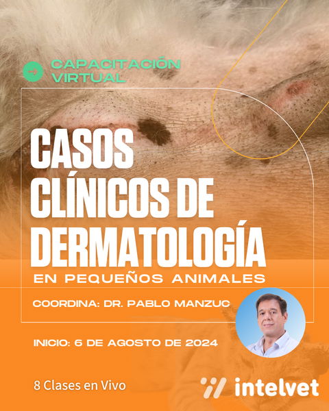 Capacitación en Casos Clínicos de Dermatología en Pequeños Animales. Coordina Dr. Pablo Manzuc