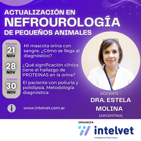 Actualización en Nefrourología en Pequeños Animales a cargo de la Dra. Estela Molina