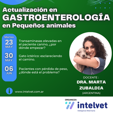 Actualización Virtual en Gastroenterología en Pequeños a cargo de la Méd. Vet. Marta Zubaldía