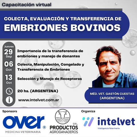 Colecta, Evaluación y Transferencia de Embriones Bovinos a cargo de Gastón Cuestas