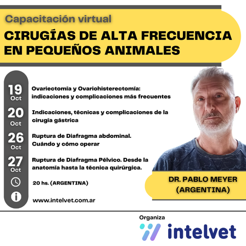 Capacitación en Cirugías de Alta Frecuencia en Pequeños Animales a cargo de Pablo Meyer